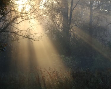 battlefield johnstown new york sun rays in mist