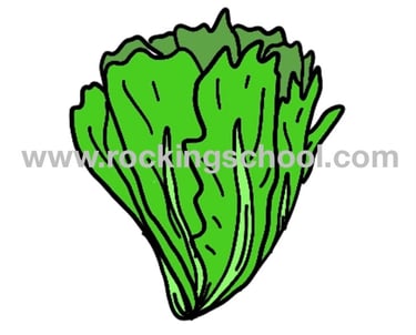 clipart lettuce cartoon drawing clip art