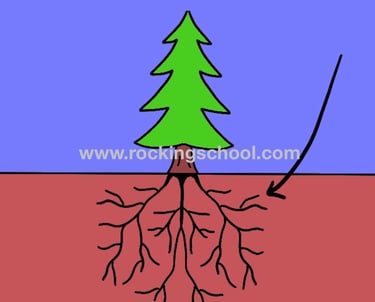 clipart roots cartoon drawing clip art