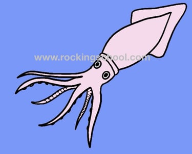 clipart squid cartoon drawing clip art