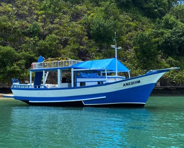 foto do barco anequim em paraty