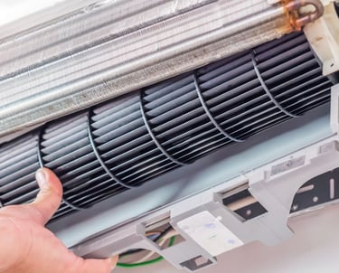 a person holding a fan and pointing at a fan