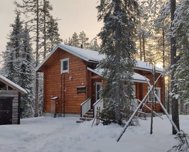 Snowy log cabin in winter lanscape, surrounded by wintery boreal forest trees and a beautiful sunset