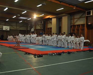Podium Coupe de France Taï-Jitsu 2020