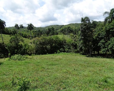 Smart Investment. Real Profit