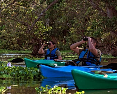 Tour en Kayak