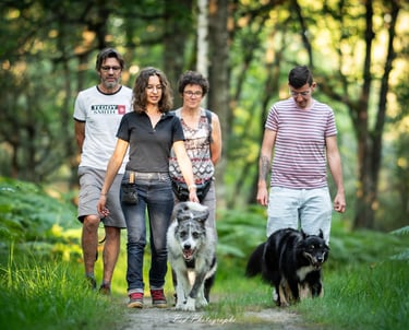 Apprendre à promener son chien avec Viens Balader mon chien