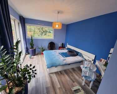 Modern bedroom with blue walls, a white storage bed, and green indoor plants on wood floors.