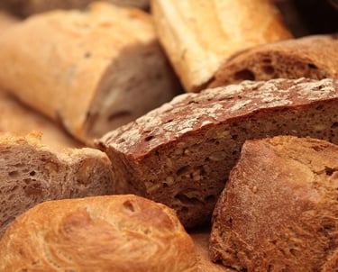 alimentae-generazione-goals-educazione-bologna-emilia-romagna