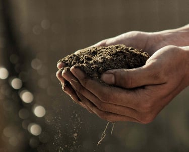 alimentae-generazione-goals-educazione-bologna-emilia-romagna