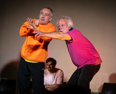 Photo Cabaret d'impro Constellations Éphémères