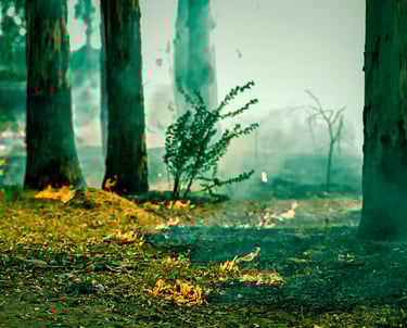 Burnout