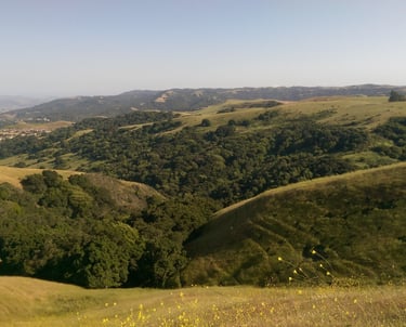 Conserved areas in the San Francisco Bay Area, CA