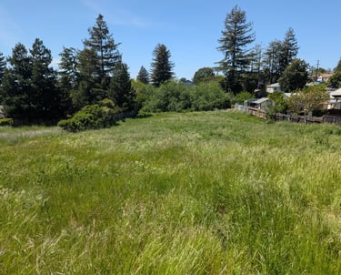 Biological Evaluation in Castro Valley, CA