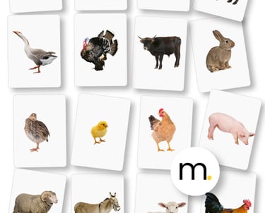 Printed Montessori Farm animals flash cards English Spanish real photographs