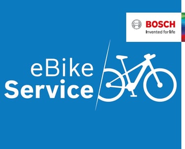 bosch bike service oficial autorizado