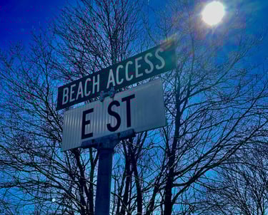 E Street Beach Access Street Sign with a tree and the sun in the background