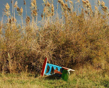 Fotografía artistica de un tobogán en un campo bucólico de la artista  Eva Mas