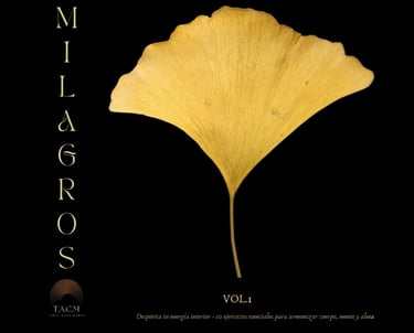 Libro de los milagros primero una guía práctica para ayudarte a reconectar contigo mismo
