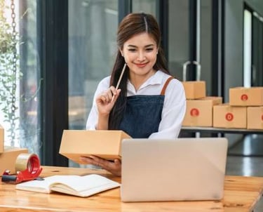 mise en ligne site internet