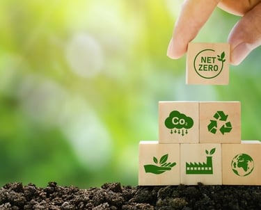 imagem com o fundo de naturaza e 6 caixias de papelão mostramostrando  sobre reciclagem