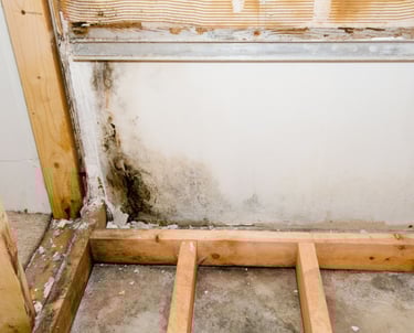 Water damage, time to reclad your house