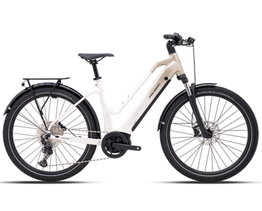 photo_categorie-VTC_electrique