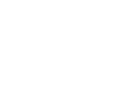 logo sécurité des pratiques rh et social