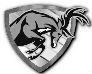 A.T.N.Y. BASKETBALL LEAGUE