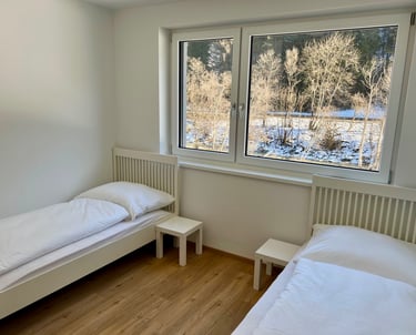 a bedroom with two beds and a window
