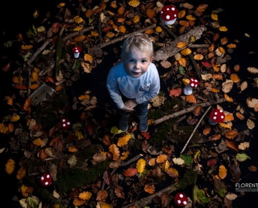 photographe-enfant-lille-saint-omer-champignon-bois-nuages-mousse-florent-studio-boulogne-sur-mer-lille-paris-calais--dunkerq