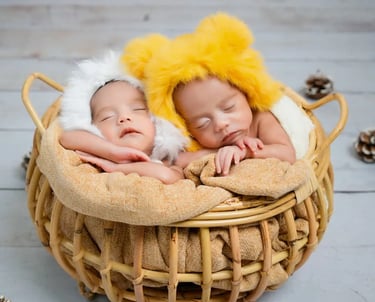 Newborn Photography twins together in bucket