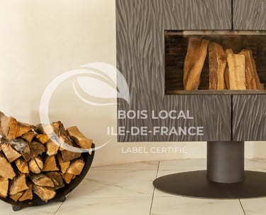 cheminée avec réserve de bois