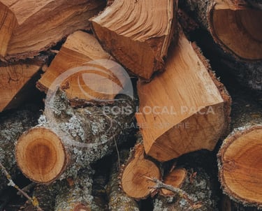 un tas de bûches avec un tas de copeaux de bois