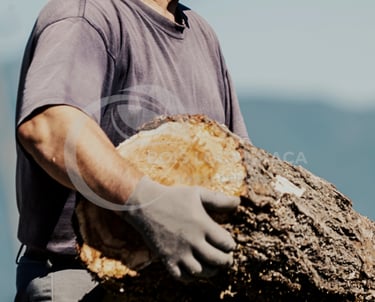 un homme tenant un gros morceau de bois dans ses mains