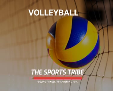 a volleyball ball in the middle of a net net