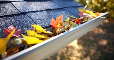 Gutter Cleaning in San Antonio