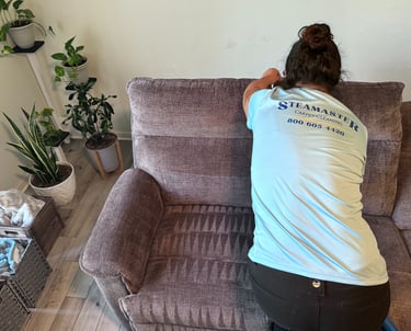 Professional couch and upholstery cleaning service by Steamaster