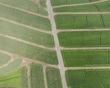 Foto de dron de campo agrícola en Ecuador
