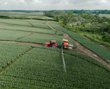 foto de dron de tractor fumigando plantación agrícola en ecuador