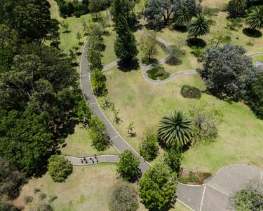 Fotografía de dron de un terreno con senderos y muchos árbolas en inmueble de Quito Ecuador