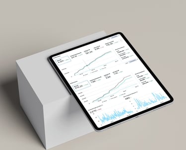 Momenta Consultancy - Analytics - The Netherlands