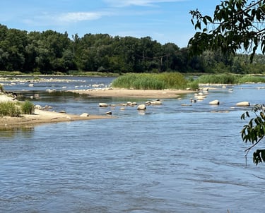 Natura 2000 w centrum Warszawy z Naturą Miasta!