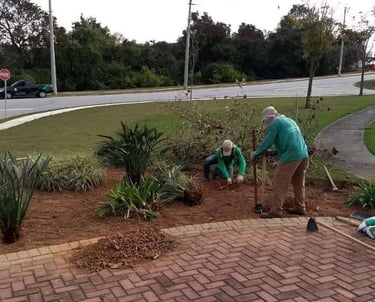 Conservadoria e Manutenção Geral de Áreas Verdes