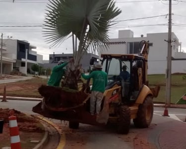 Transplante e Plantio de Grande Porte