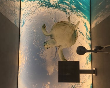 bedruckte-lichtdecke-mit-schildkroitenmotiv-in-dusche