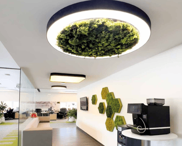 Bedruckes Lichtmodule in Moos Opik