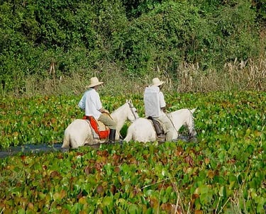 Horseback Ride in Pouso Alegre Lodge