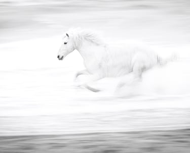 Artistic motion blur of a white Camargue horse galloping through ocean waves.