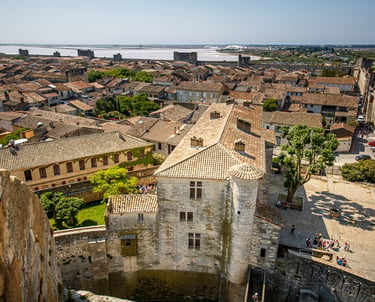 Aerial view of Aigues-Mortes medieval walled city in France with stone buildings and salt pans in the distance.